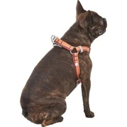 Frisco Outdoor Two Toned Waterproof Stink Proof PVC Dog Leash & Frisco Outdoor Two Tone Waterproof Stinkproof PVC Dog Harness -Frisco Sales Store 319448 PT6. AC SS1800 V1631152279