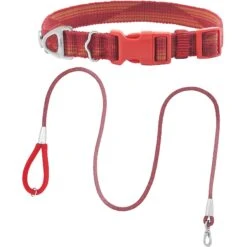 Frisco Outdoor Woven Jacquard Nylon Dog Collar & Frisco Outdoor Waterproof Stinkproof PVC Rope Leash