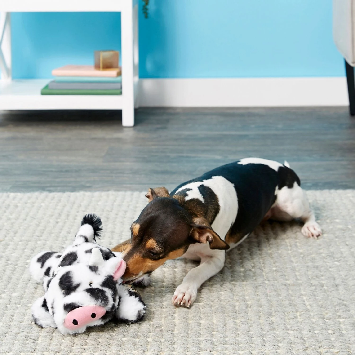 Frisco Cow Plush Squeaky Dog Toy & Playology Scented Dual Layer Ring Dog Toy 4 Frisco Cow Plush Squeaky Dog Toy & Playology Scented Dual Layer Ring Dog Toy - Image 4