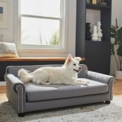 Frisco Sofa Pet Bed With Removable Cover & Frisco Eyelash Cat & Dog Blanket -Frisco Sales Store 319504 PT4. AC SS1800 V1630625195