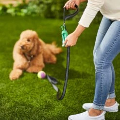 Frisco Traffic Leash With Padded Handles & Poop Bag Dispenser & Frisco Refill Dog Poop Bags Made With 50% Recycled Packaging -Frisco Sales Store 319512 PT8. AC SS1800 V1683212087