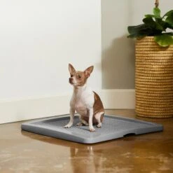 Frisco Training Pad Holder & Frisco Premium Dog Training & Potty Pads -Frisco Sales Store 319526 PT4. AC SS1800 V1630624305