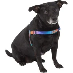 Frisco Purple Ombre Style Dog Harness 7 Frisco Purple Ombre Style Dog Harness -Frisco Sales Store 324526 PT2. AC SS1800 V1642519692