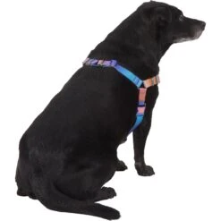 Frisco Purple Ombre Style Dog Harness 8 Frisco Purple Ombre Style Dog Harness -Frisco Sales Store 324526 PT3. AC SS1800 V1642519104