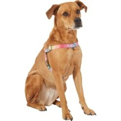Frisco Pink Ombre Style Dog Harness -Frisco Sales Store 324537 PT2. AC SS1800 V1642519336
