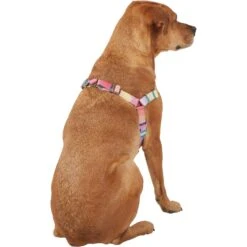 Frisco Pink Ombre Style Dog Harness -Frisco Sales Store 324537 PT3. AC SS1800 V1642519146