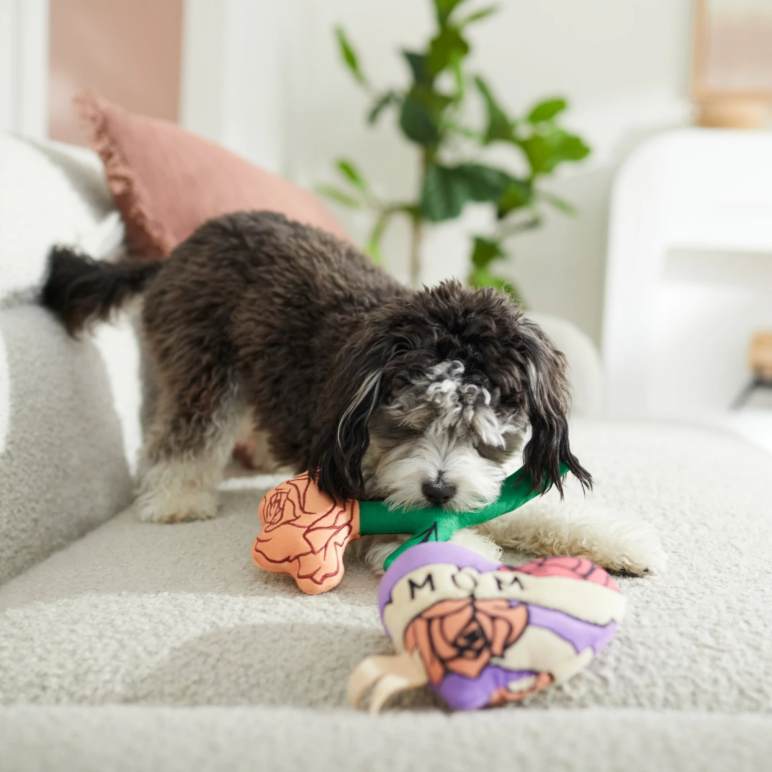 Frisco Mother's Day Rose & Heart Plush Squeaky Dog Toy, 2 Count 3 Frisco Mother's Day Rose & Heart Plush Squeaky Dog Toy, 2 Count - Image 3