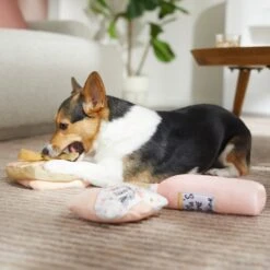 Frisco Mother's Day Gifts Plush Squeaky Dog Toy, 3 Count -Frisco Sales Store 327035 PT3. AC SS1800 V1646947993