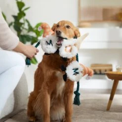 Frisco Mother's Day Gnomes Plush With Rope Squeaky Dog Toy 5 Frisco Mother's Day Gnomes Plush With Rope Squeaky Dog Toy -Frisco Sales Store 327037 PT3. AC SS1800 V1646948102