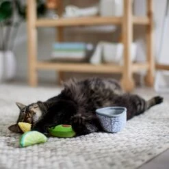 Frisco Guacamole Bowl Cat Toy With Catnip, Medium, 4 Count -Frisco Sales Store 327059 PT3. AC SS1800 V1645205519