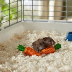 Frisco Carrot Small Pet Chew Toy -Frisco Sales Store 330867 PT2. AC SS1800 V1659546417