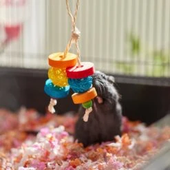 Frisco Dangly Wooden Small Pet Chew Toy 5 Frisco Dangly Wooden Small Pet Chew Toy -Frisco Sales Store 330871 PT3. AC SS1800 V1647530133