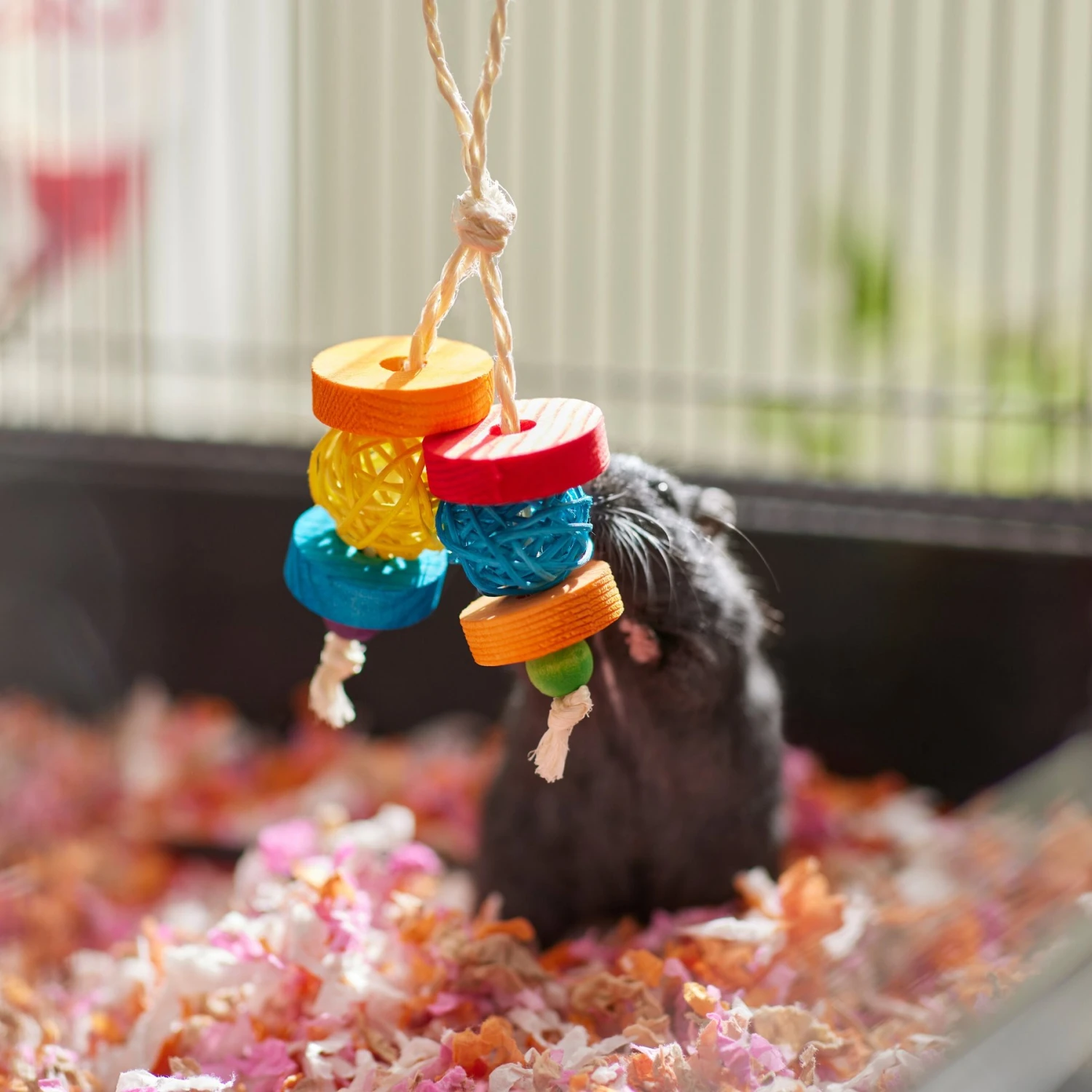 Frisco Dangly Wooden Small Pet Chew Toy 3 Frisco Dangly Wooden Small Pet Chew Toy - Image 3