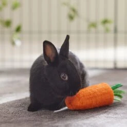 Frisco Carrot Loofah Small Pet Chew Toy -Frisco Sales Store 330873 PT2. AC SS1800 V1647530171