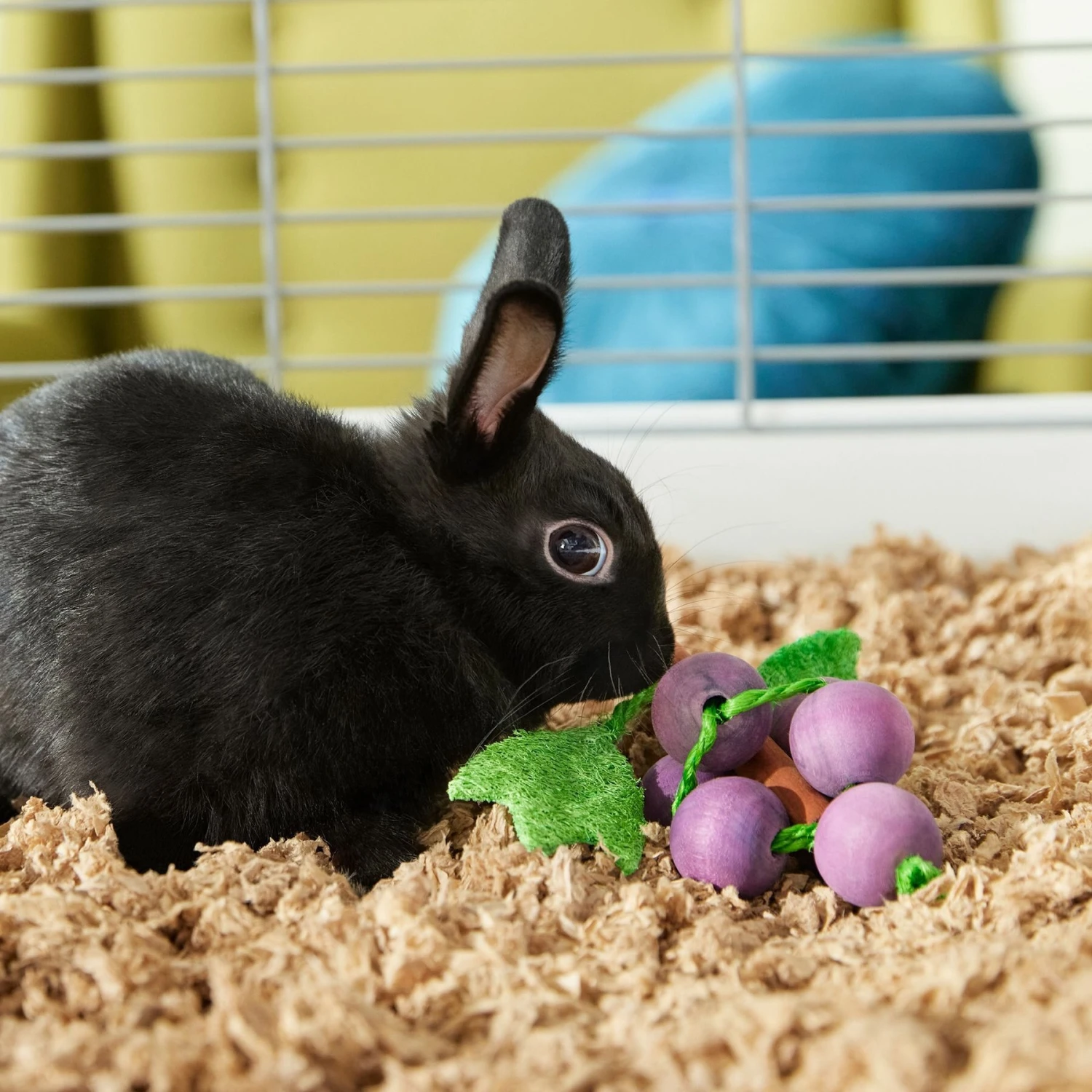 Frisco Wooden Grape Vine Small Pet Chew Toy 3 Frisco Wooden Grape Vine Small Pet Chew Toy - Image 3