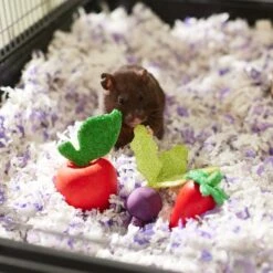 Frisco Wooden Fruit Assortment Small Pet Chew Toy 5 Frisco Wooden Fruit Assortment Small Pet Chew Toy -Frisco Sales Store 330883 PT2. AC SS1800 V1647530150