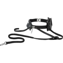 Frisco Outdoor Running Belt With Bungee Dog Leash