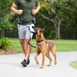 Frisco Outdoor Running Belt With Bungee Dog Leash -Frisco Sales Store 331408 PT6. AC SS1800 V1660078547