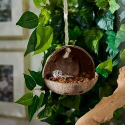 Frisco Coconut Bird Feeder -Frisco Sales Store 331450 PT4. AC SS1800 V1660703569