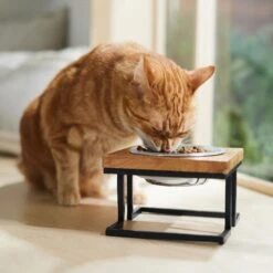 Frisco Premium Wood Elevated Single Dog & Cat Bowl 10 Frisco Premium Wood Elevated Single Dog & Cat Bowl -Frisco Sales Store 331493 PT3. AC SS1800 V1657656892