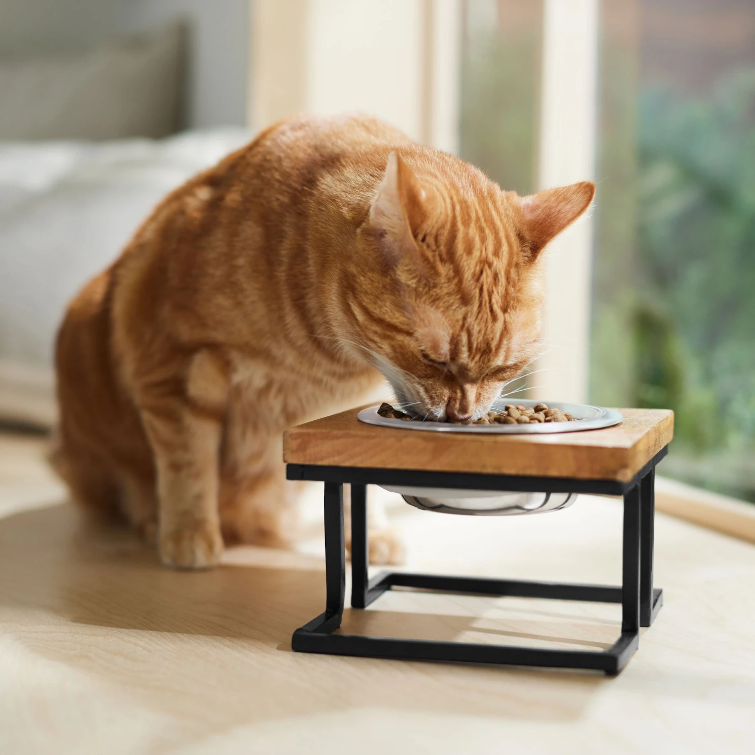 Frisco Premium Wood Elevated Single Dog & Cat Bowl 4 Frisco Premium Wood Elevated Single Dog & Cat Bowl - Image 4