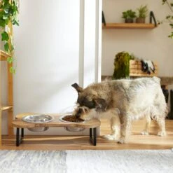 Frisco Premium Wood Elevated Bone Shape Stainless Steel Double Diner Dog & Cat Bowl, 3 Cup 8 Frisco Premium Wood Elevated Bone Shape Stainless Steel Double Diner Dog & Cat Bowl, 3 Cup -Frisco Sales Store 331497 PT2. AC SS1800 V1657656892