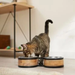 Frisco Premium Elevated Bone Design Stainless Steel Double Diner Dog & Cat Bowl 10 Frisco Premium Elevated Bone Design Stainless Steel Double Diner Dog & Cat Bowl -Frisco Sales Store 331499 PT3. AC SS1800 V1657656892