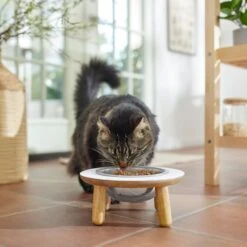 Frisco Premium Round Shape Elevated Single Dog & Cat Bowl 9 Frisco Premium Round Shape Elevated Single Dog & Cat Bowl -Frisco Sales Store 331502 PT3. AC SS1800 V1657656892