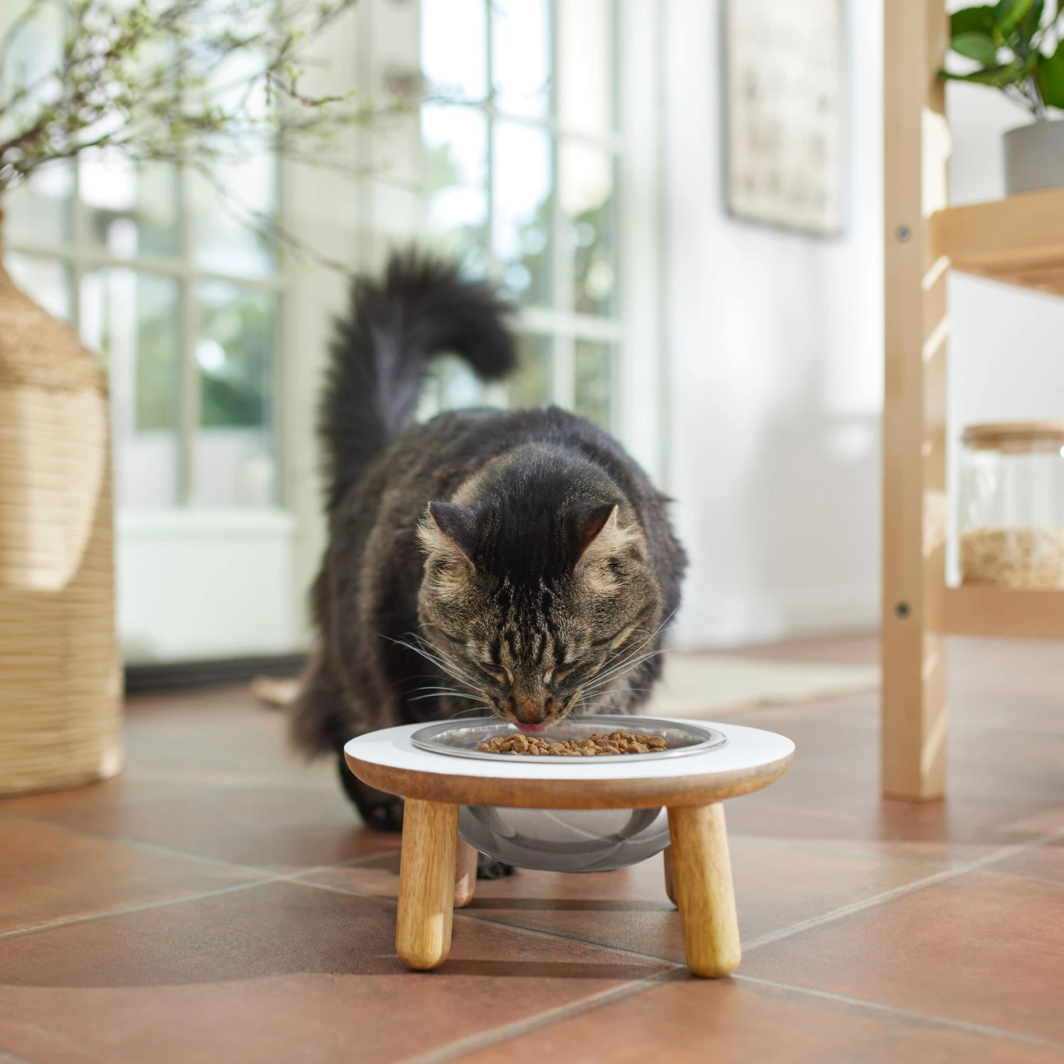 Frisco Premium Round Shape Elevated Single Dog & Cat Bowl 4 Frisco Premium Round Shape Elevated Single Dog & Cat Bowl - Image 4