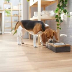 Frisco Premium Stainless Steel Double Diner Dog & Cat Bowl, Black 9 Frisco Premium Stainless Steel Double Diner Dog & Cat Bowl, Black -Frisco Sales Store 331532 PT2. AC SS1800 V1657656874