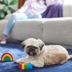 Frisco Pride Rainbow & Heart Latex Squeaky Dog Toy, 2 Count 5 Frisco Pride Rainbow & Heart Latex Squeaky Dog Toy, 2 Count -Frisco Sales Store 331632 PT3. AC SS1800 V1647355825