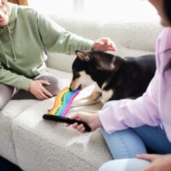 Frisco Pride Flag Flat Squeaky Dog Toy 5 Frisco Pride Flag Flat Squeaky Dog Toy -Frisco Sales Store 331640 PT3. AC SS1800 V1647355852