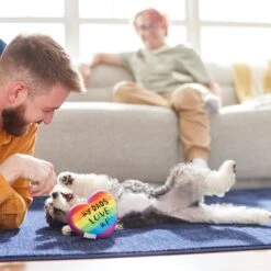 Frisco Pride My Dads Love Me Plush Squeaky Dog Toy -Frisco Sales Store 331648 PT3. AC SS1800 V1647355984