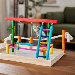 Frisco Color Me Wild Bird Playground -Frisco Sales Store 331704 PT4. AC SS1800 V1660703306