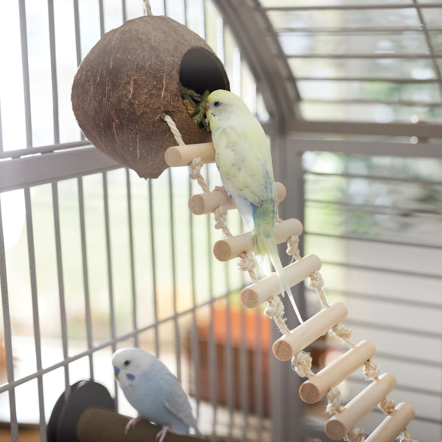 Frisco Up The Ladder Coco Bird Hut 3 Frisco Up The Ladder Coco Bird Hut - Image 3