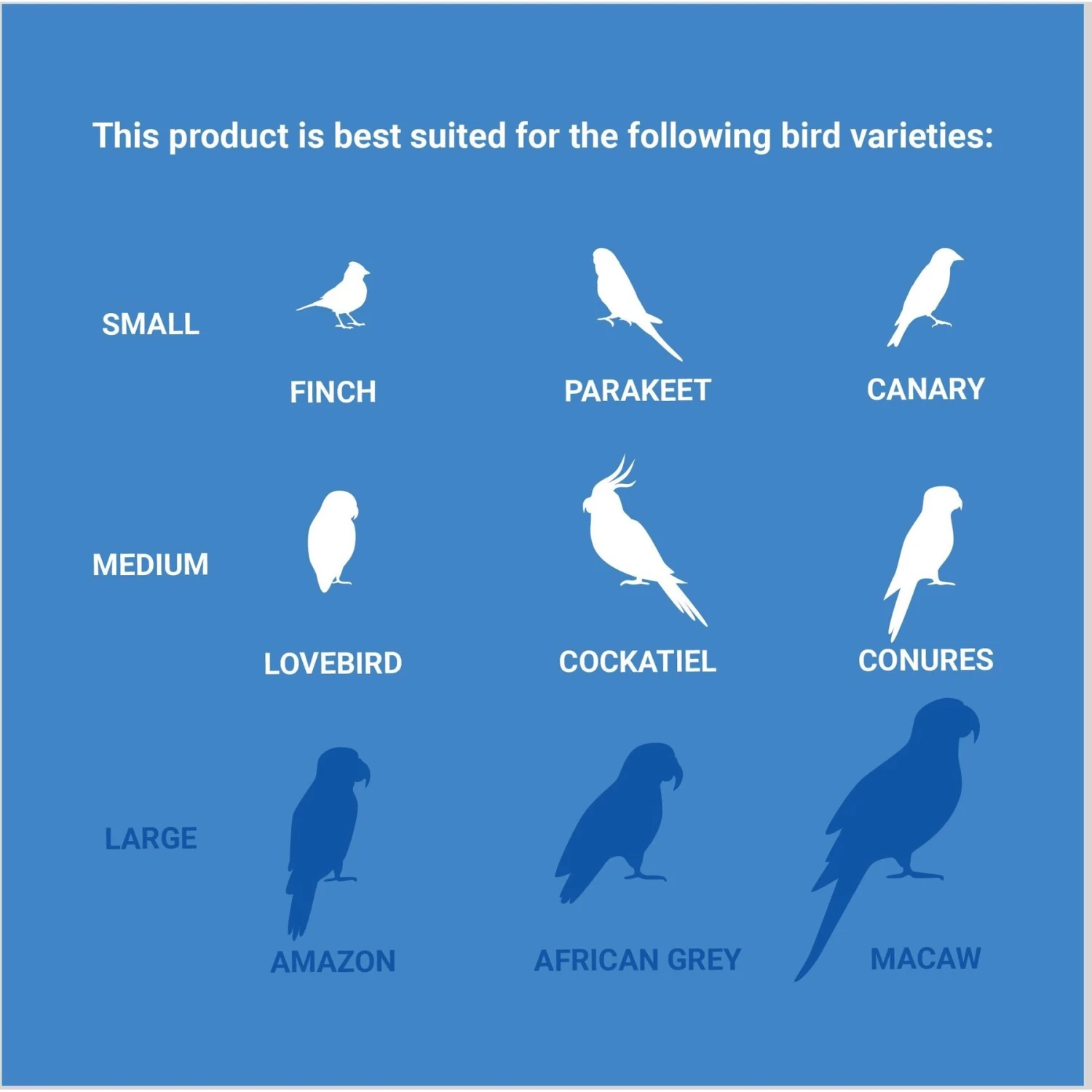 Frisco Up The Ladder Coco Bird Hut 5 Frisco Up The Ladder Coco Bird Hut - Image 5