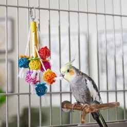 Frisco Bouquet Cluster Bird Chew Toy -Frisco Sales Store 331737 PT3. AC SS1800 V1660703305