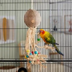 Frisco Coco Loco Bird Toy -Frisco Sales Store 331741 PT3. AC SS1800 V1660703305