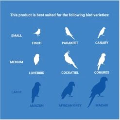 Frisco Coco Loco Bird Toy -Frisco Sales Store 331741 PT4. AC SS1800 V1661200356