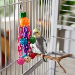 Frisco Entertainment Bundle Bird Toy -Frisco Sales Store 331747 PT3. AC SS1800 V1660703304