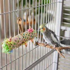 Frisco Flower Net Bird Foraging Toy -Frisco Sales Store 331751 PT3. AC SS1800 V1660703304