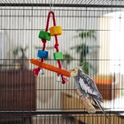Frisco Loofah Swing Bird Toy -Frisco Sales Store 331771 PT3. AC SS1800 V1660703304