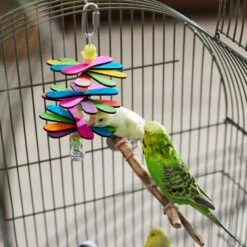 Frisco Popsicle Frenzy Bird Chew Toy -Frisco Sales Store 331775 PT3. AC SS1800 V1660703304
