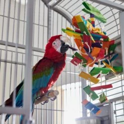 Frisco Pterodactyl Block Bird Chew Toy -Frisco Sales Store 331777 PT3. AC SS1800 V1660703304