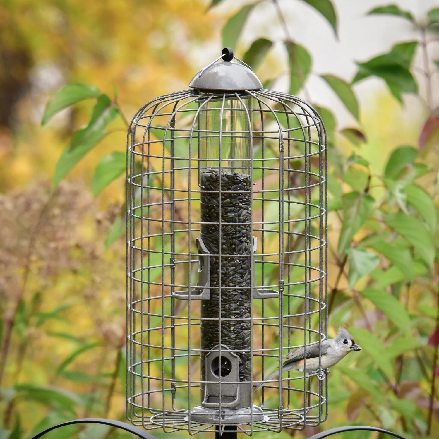 Frisco Ultra Squirrel Defense Wild Bird Feeder 4 Frisco Ultra Squirrel Defense Wild Bird Feeder - Image 4