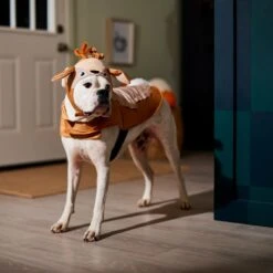 Frisco Deer Dog & Cat Costume 12 Frisco Deer Dog & Cat Costume -Frisco Sales Store 334874 PT7. AC SS1800 V1657720507