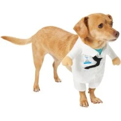 Frisco Front Walking Doctor Dog & Cat Costume 11 Frisco Front Walking Doctor Dog & Cat Costume -Frisco Sales Store 334900 PT3. AC SS1800 V1658344549