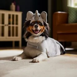 Frisco Elephant Dog & Cat Costume -Frisco Sales Store 334915 PT7. AC SS1800 V1657718739