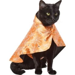 Frisco Spider Webbed Dog & Cat Costume Cape -Frisco Sales Store 334972 PT2. AC SS1800 V1658348259
