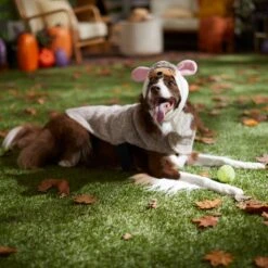 Frisco Hedgehog Dog & Cat Costume -Frisco Sales Store 334990 PT7. AC SS1800 V1657732628